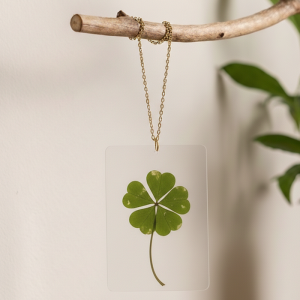 Véritable Trèfle à 5 Feuilles | Porte-Bonheur Rare de Collection