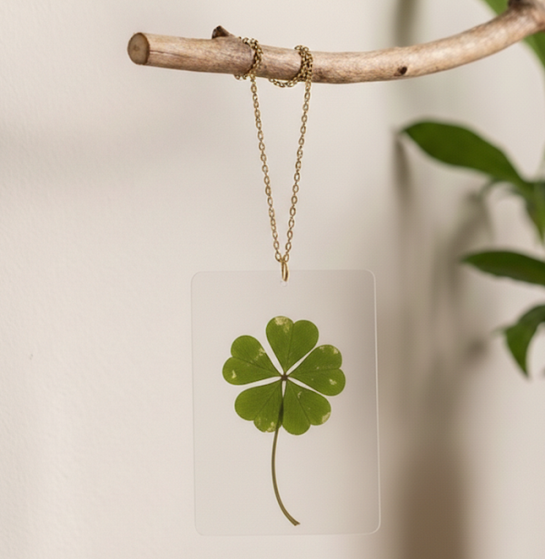 Véritable Trèfle à 5 Feuilles | Porte-Bonheur Rare de Collection